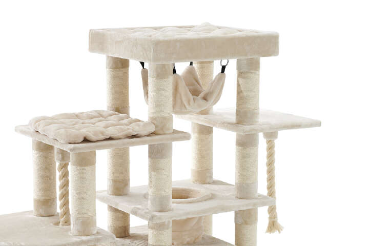 Nobby Kratzbaum Gadi